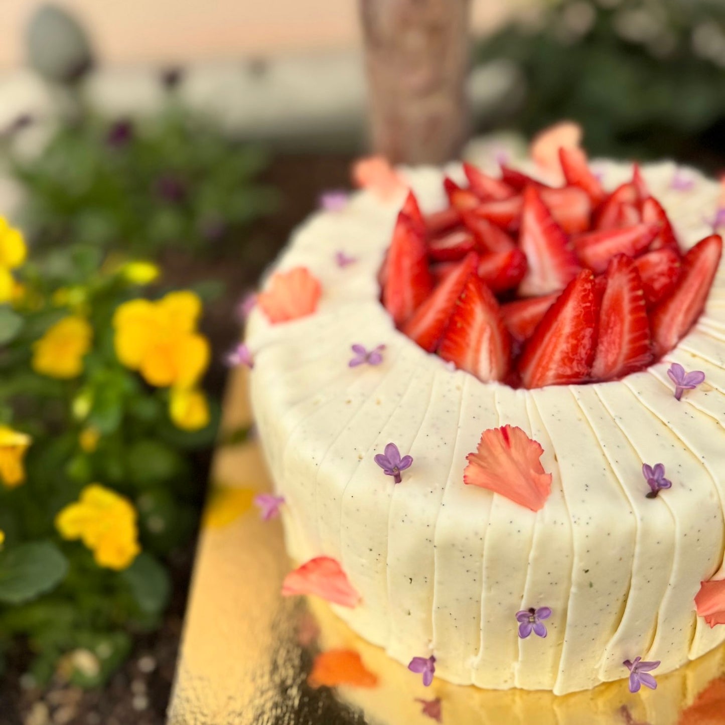 Fraisier